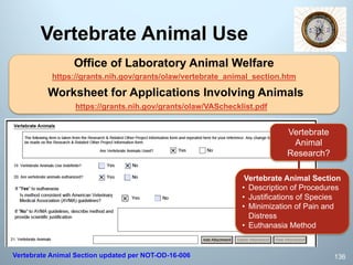 Vertebrate Animal Use
Office of Laboratory Animal Welfare
https://grants.nih.gov/grants/olaw/vertebrate_animal_section.htm
Worksheet for Applications Involving Animals
https://grants.nih.gov/grants/olaw/VASchecklist.pdf
Vertebrate
Animal
Research?
Vertebrate Animal Section
• Description of Procedures
• Justifications of Species
• Minimization of Pain and
Distress
• Euthanasia Method
136Vertebrate Animal Section updated per NOT-OD-16-006
 