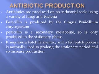 • Antibiotics are produced on an industrial scale using
a variety of fungi and bacteria
• Penicillin is produced by the fungus Penicillium
chrysogenum
• penicillin is a secondary metabolite, so is only
produced in the stationary phase.
• It requires a batch fermenter, and a fed batch process
is normally used to prolong the stationary period and
so increase production.
 