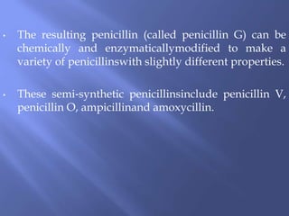 • The resulting penicillin (called penicillin G) can be
chemically and enzymaticallymodified to make a
variety of penicillinswith slightly different properties.
• These semi‐synthetic penicillinsinclude penicillin V,
penicillin O, ampicillinand amoxycillin.
 