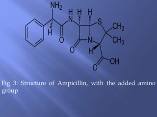 Fig 3: Structure of Ampicillin, with the added amino
group
 