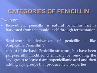 Two types:
• Biosynthetic penicillin is natural penicillin that is
harvested from the mould itself through fermentation
• Semi-synthetic derivatives of penicillin - like
Ampicillin, Penicillin V
• consist of the basic Penicillin structure, but have been
purposefully modified chemically by removing the
acyl group to leave 6-aminopenicillanic acid and then
adding acyl groups that produce new properties
 