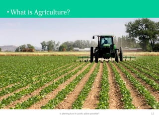 • What is Agriculture?
Is planting food in public space possible? 12
 