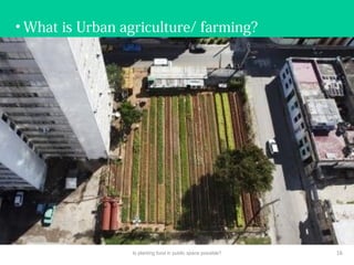 • What is Urban agriculture/ farming?
Is planting food in public space possible? 16
 