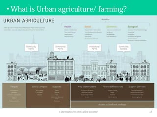• What is Urban agriculture/ farming?
Is planting food in public space possible? 17
 