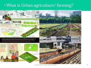 • What is Urban agriculture/ farming?
Is planting food in public space possible? 18
 