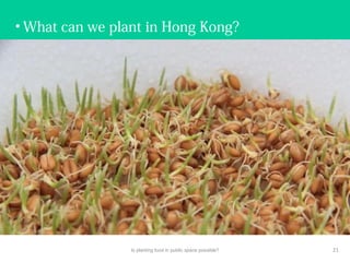 • What can we plant in Hong Kong?
Is planting food in public space possible? 21
 