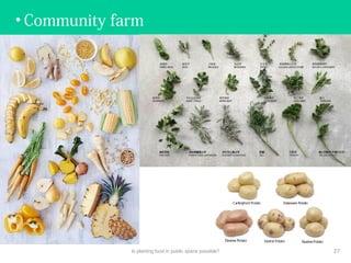 • Community farm
Is planting food in public space possible? 27
 