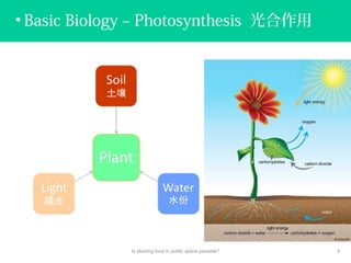 • Basic Biology – Photosynthesis 光合作用
Is planting food in public space possible? 3
 