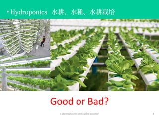 • Hydroponics 水耕、水種、水耕栽培
Is planting food in public space possible? 4
Good or Bad?
 