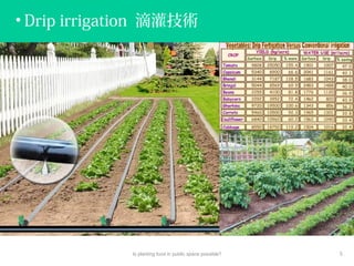 • Drip irrigation 滴灌技術
Is planting food in public space possible? 5
 