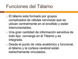 Funciones del TálamoEl tálamo esta formado por grupos complicados de células nerviosas que se ubican centralmente en el encéfalo y están interconectados.Una gran cantidad de información sensitiva de todo tipo converge en el Tálamo y es integrada.Desde el punto de vista anatómico y funcional, el tálamo y la corteza cerebral están estrechamente vinculados.