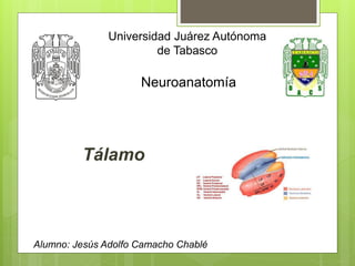 Universidad Juárez Autónoma
de Tabasco
Neuroanatomía
Alumno: Jesús Adolfo Camacho Chablé
Tálamo
 