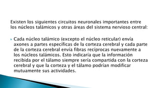 Existen los siguientes circuitos neuronales importantes entre
los núcleos talámicos y otras áreas del sistema nervioso central:
 Cada núcleo talámico (excepto el núcleo reticular) envía
axones a partes específicas de la corteza cerebral y cada parte
de la corteza cerebral envía fibras recíprocas nuevamente a
los núcleos talámicos. Esto indicaría que la información
recibida por el tálamo siempre sería compartida con la corteza
cerebral y que la corteza y el tálamo podrían modificar
mutuamente sus actividades.
 