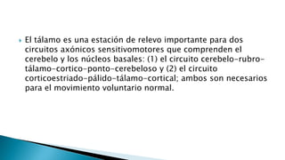  El tálamo es una estación de relevo importante para dos
circuitos axónicos sensitivomotores que comprenden el
cerebelo y los núcleos basales: (1) el circuito cerebelo-rubro-
tálamo-cortico-ponto-cerebeloso y (2) el circuito
corticoestriado-pálido-tálamo-cortical; ambos son necesarios
para el movimiento voluntario normal.
 