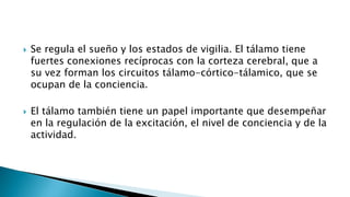  Se regula el sueño y los estados de vigilia. El tálamo tiene
fuertes conexiones recíprocas con la corteza cerebral, que a
su vez forman los circuitos tálamo-córtico-tálamico, que se
ocupan de la conciencia.
 El tálamo también tiene un papel importante que desempeñar
en la regulación de la excitación, el nivel de conciencia y de la
actividad.
 