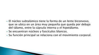  El núcleo subtalámico tiene la forma de un lente biconvexo,
que se ubica en un área muy pequeña que queda por debajo
del tálamo, entre la cápsula interna y el hipotálamo.
 Se encuentran núcleos y fascículos blancos.
 Su función principal se relaciona con el movimiento corporal.
 
