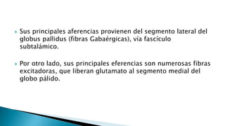  Sus principales aferencias provienen del segmento lateral del
globus pallidus (fibras Gabaérgicas), vía fascículo
subtalámico.
 Por otro lado, sus principales eferencias son numerosas fibras
excitadoras, que liberan glutamato al segmento medial del
globo pálido.
 