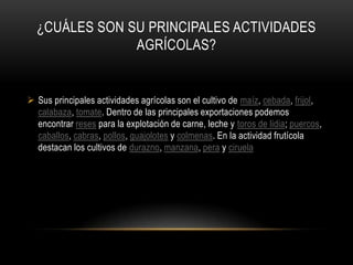 ¿CUÁLES SON SU PRINCIPALES ACTIVIDADES
               AGRÍCOLAS?


 Sus principales actividades agrícolas son el cultivo de maíz, cebada, frijol,
  calabaza, tomate. Dentro de las principales exportaciones podemos
  encontrar reses para la explotación de carne, leche y toros de lidia; puercos,
  caballos, cabras, pollos, guajolotes y colmenas. En la actividad frutícola
  destacan los cultivos de durazno, manzana, pera y ciruela
 