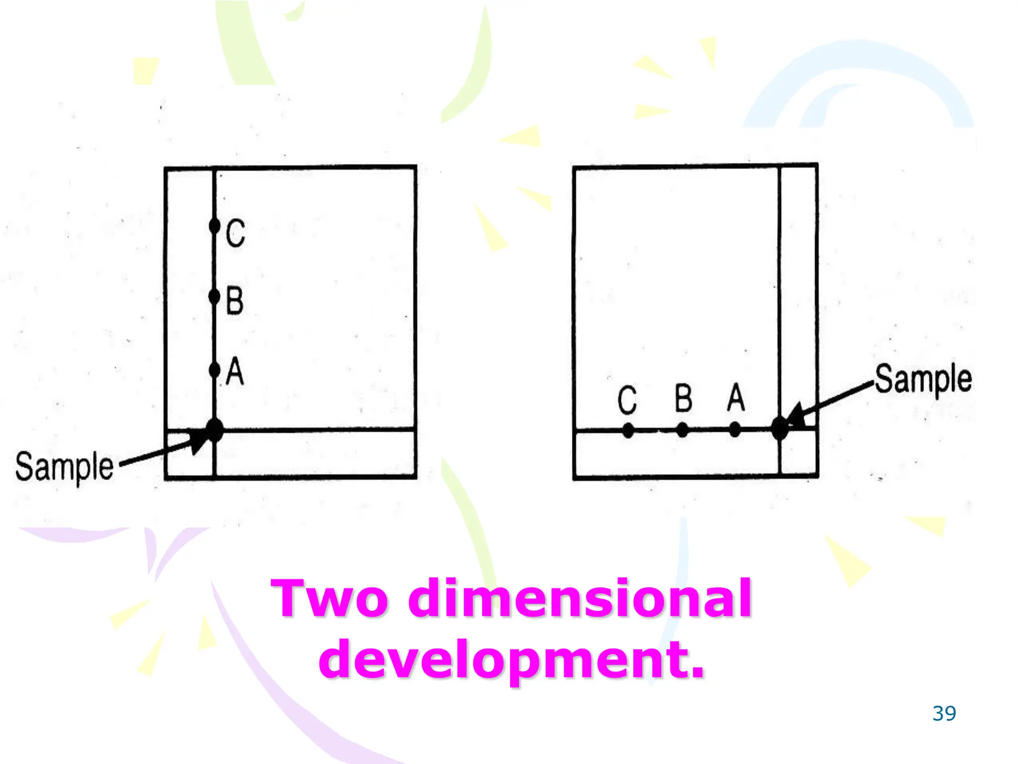 39
Two dimensional
development.
 