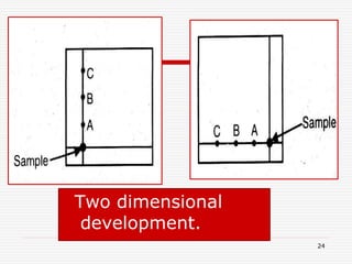24
Two dimensional
development.
 