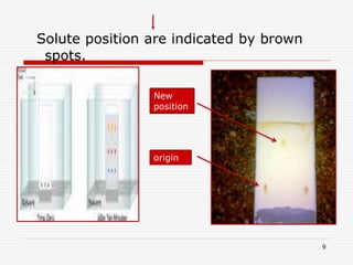 9
Solute position are indicated by brown
spots.
origin
New
position
 