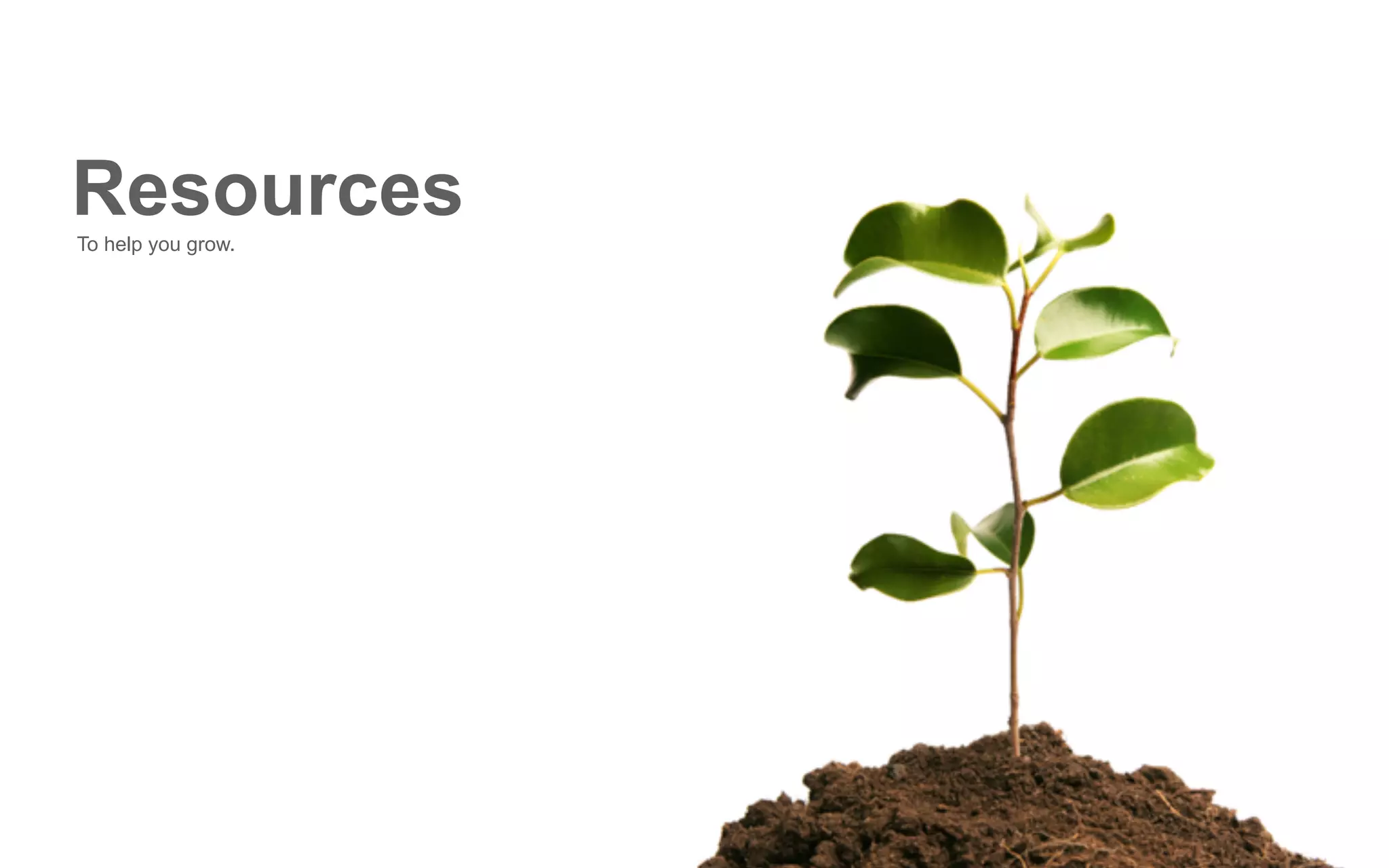 ResourcesTo help you grow.
 