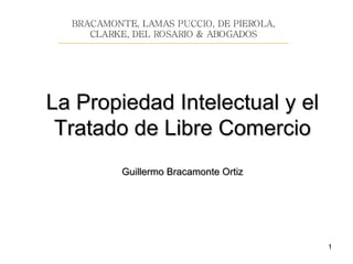 La Propiedad Intelectual y el Tratado de Libre Comercio Guillermo Bracamonte Ortiz 