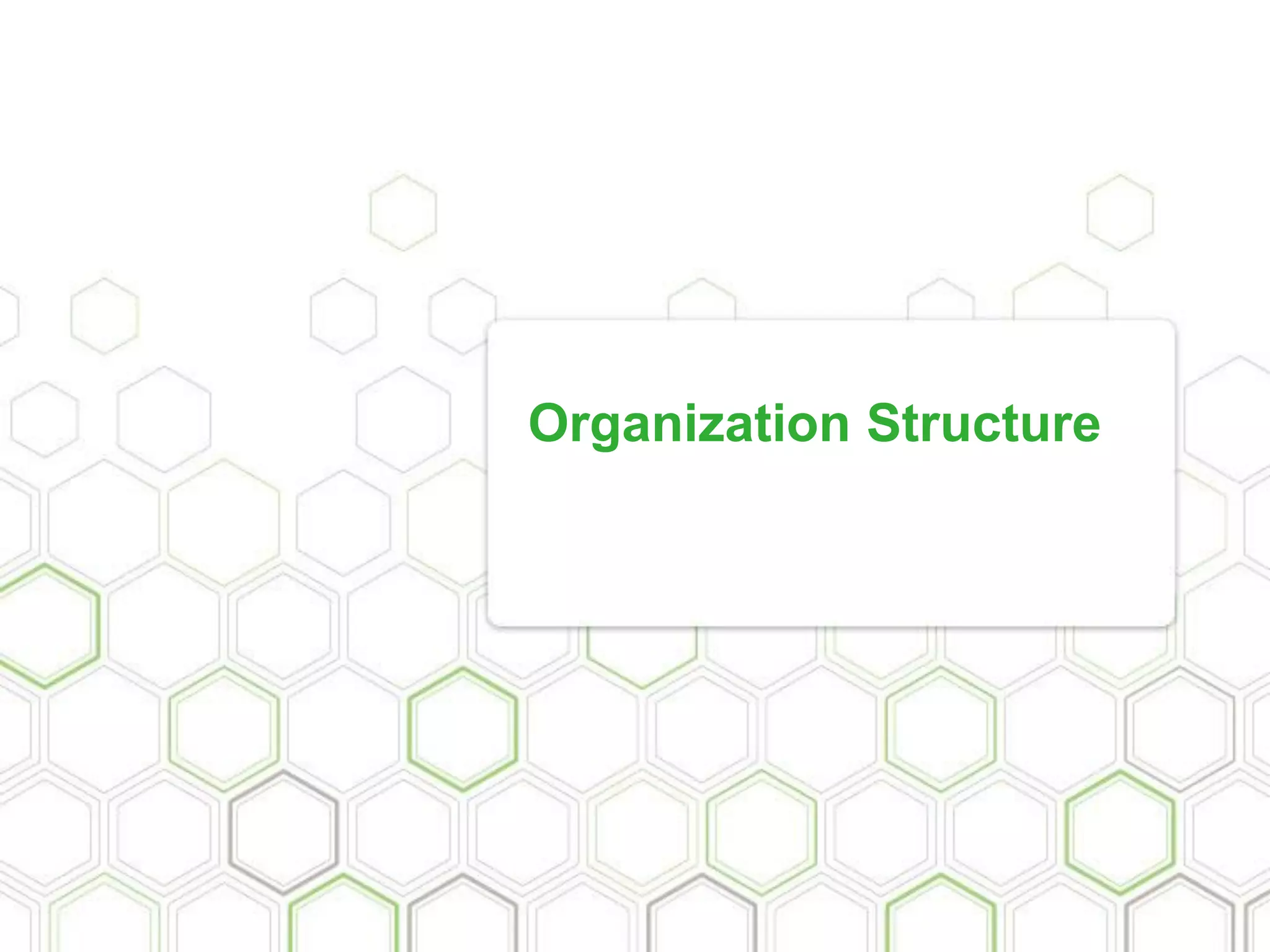 Organization Structure
 