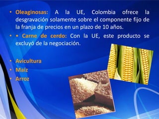 • Oleaginosas: A la UE, Colombia ofrece la
  desgravación solamente sobre el componente fijo de
  la franja de precios en un plazo de 10 años.
• • Carne de cerdo: Con la UE, este producto se
  excluyó de la negociación.

• Avicultura
• Maíz
• Arroz
 