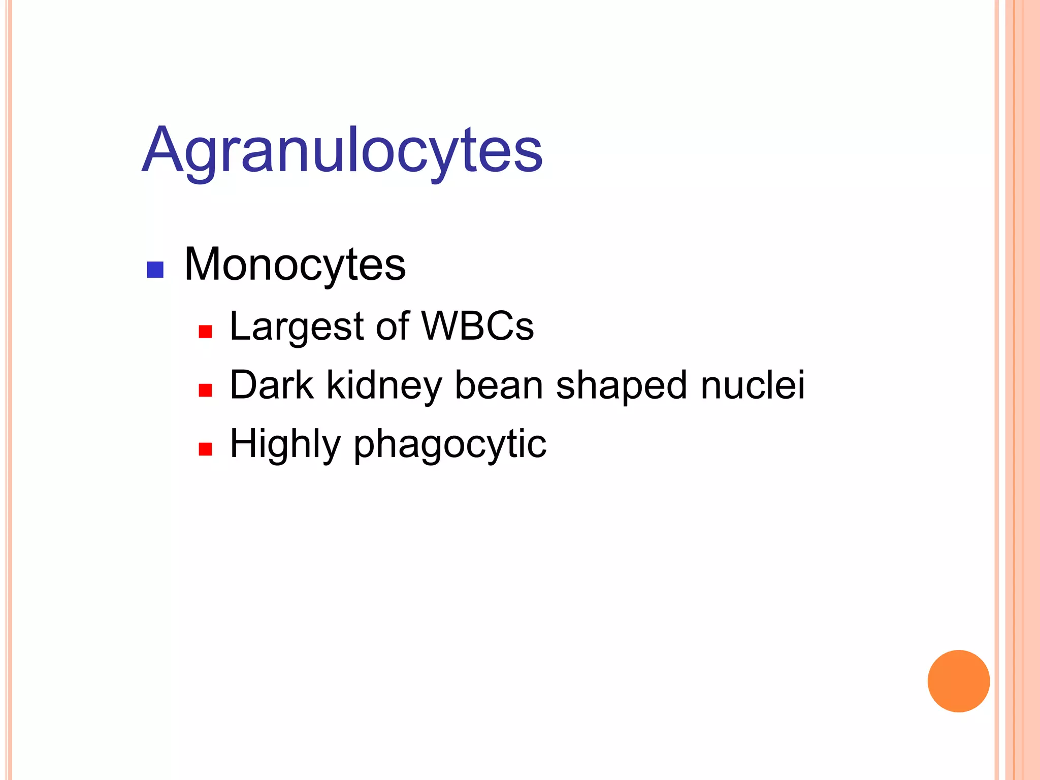 Agranulocytes
 Monocytes
 Largest of WBCs
 Dark kidney bean shaped nuclei
 Highly phagocytic
 