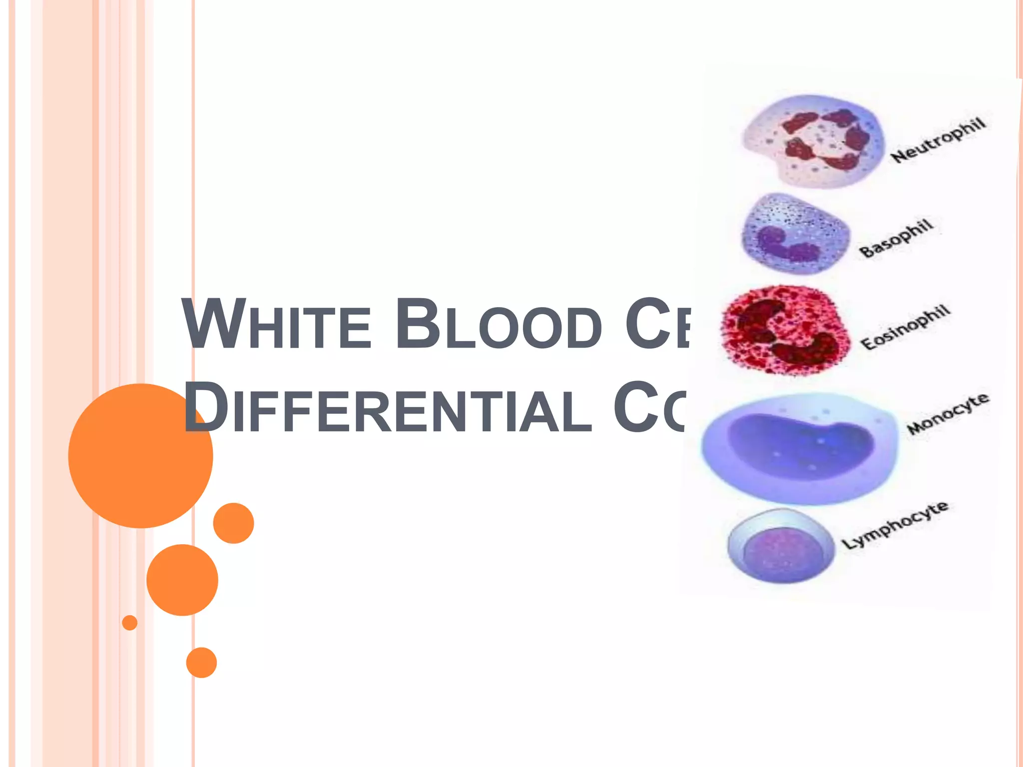 WHITE BLOOD CELL
DIFFERENTIAL COUNT
 