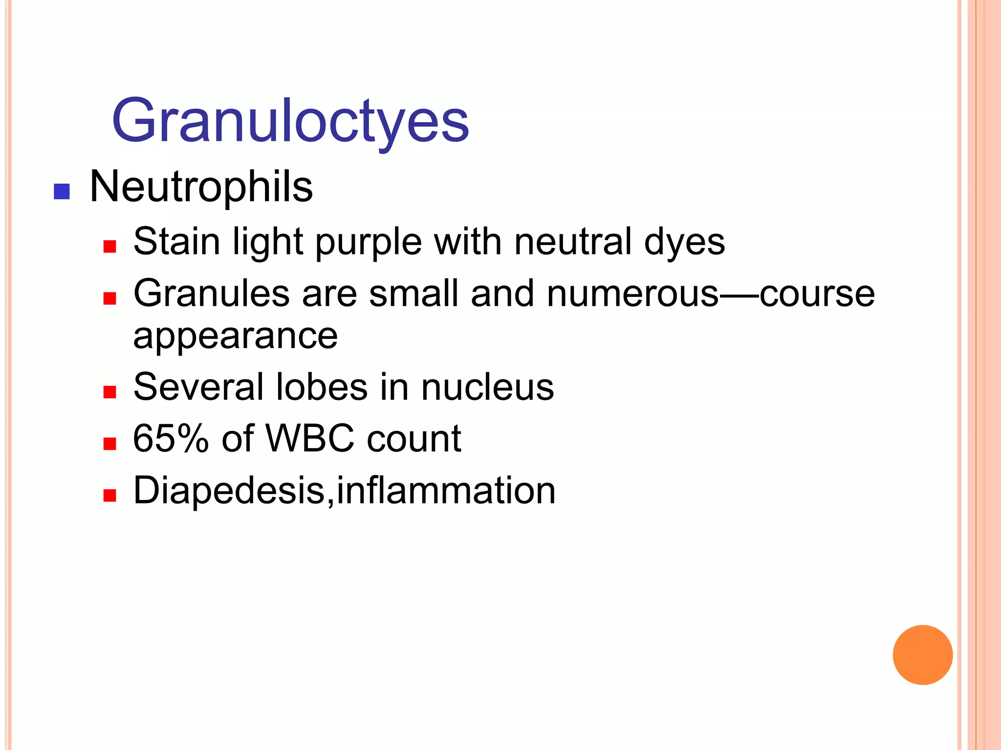 Granuloctyes
 Neutrophils
 Stain light purple with neutral dyes
 Granules are small and numerous—course
appearance
 Several lobes in nucleus
 65% of WBC count
 Diapedesis,inflammation
 