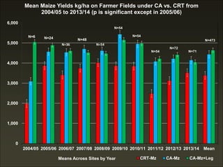 0
1,000
2,000
3,000
4,000
5,000
6,000
2004/05 2005/06 2006/07 2007/08 2008/09 2009/10 2010/11 2011/12 2012/13 2013/14 Mean
Means Across Sites by Year
Mean Maize Yields kg/ha on Farmer Fields under CA vs. CRT from
2004/05 to 2013/14 (p is significant except in 2005/06)
CRT-Mz CA-Mz CA-Mz+Leg
N=24
N=36 N=54
N=48
N=54
N=6 N=54
N=54
N=72
N=71
N=473
 