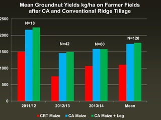 0
500
1000
1500
2000
2500
2011/12 2012/13 2013/14 Mean
Mean Groundnut Yields kg/ha on Farmer Fields
after CA and Conventional Ridge Tillage
CRT Maize CA Maize CA Maize + Leg
N=18
N=42 N=60
N=120
 