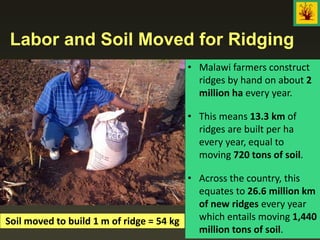 Labor and Soil Moved for Ridging
Soil moved to build 1 m of ridge = 54 kg
• Malawi farmers construct
ridges by hand on about 2
million ha every year.
• This means 13.3 km of
ridges are built per ha
every year, equal to
moving 720 tons of soil.
• Across the country, this
equates to 26.6 million km
of new ridges every year
which entails moving 1,440
million tons of soil.
 