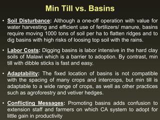 Min Till vs. Basins
• Soil Disturbance: Although a one-off operation with value for
water harvesting and efficient use of fertilizers/ manure, basins
require moving 1000 tons of soil per ha to flatten ridges and to
dig basins with high risks of loosing top soil with the rains.
• Labor Costs: Digging basins is labor intensive in the hard clay
soils of Malawi which is a barrier to adoption. By contrast, min
till with dibble sticks is fast and easy.
• Adaptability: The fixed location of basins is not compatible
with the spacing of many crops and intercrops, but min till is
adaptable to a wide range of crops, as well as other practices
such as agroforestry and vetiver hedges.
• Conflicting Messages: Promoting basins adds confusion to
extension staff and farmers on which CA system to adopt for
little gain in productivity
 