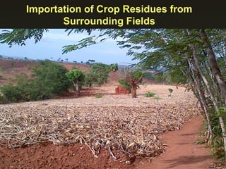 Importation of Crop Residues from
Surrounding Fields
 