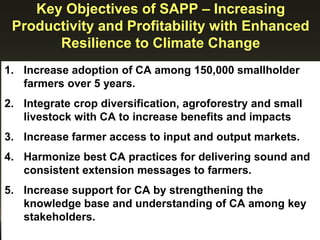 Key Objectives of SAPP – Increasing
Productivity and Profitability with Enhanced
Resilience to Climate Change
1. Increase adoption of CA among 150,000 smallholder
farmers over 5 years.
2. Integrate crop diversification, agroforestry and small
livestock with CA to increase benefits and impacts
3. Increase farmer access to input and output markets.
4. Harmonize best CA practices for delivering sound and
consistent extension messages to farmers.
5. Increase support for CA by strengthening the
knowledge base and understanding of CA among key
stakeholders. partners
 
