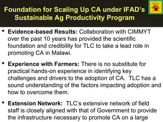 Foundation for Scaling Up CA under IFAD’s
Sustainable Ag Productivity Program
• Evidence-based Results: Collaboration with CIMMYT
over the past 10 years has provided the scientific
foundation and credibility for TLC to take a lead role in
promoting CA in Malawi.
• Experience with Farmers: There is no substitute for
practical hands-on experience in identifying key
challenges and drivers to the adoption of CA. TLC has a
sound understanding of the factors impacting adoption and
how to overcome them.
• Extension Network: TLC’s extensive network of field
staff is closely aligned with that of Government to provide
the infrastructure necessary to promote CA on a large
 