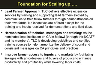 Foundation for Scaling up…..
• Lead Farmer Approach: TLC delivers effective extension
services by training and supporting lead farmers elected by
communities to train fellow farmers through demonstrations on
their own farms. No incentives are offered except for the
training and inputs received for demonstrations and field days.
• Harmonization of technical messages and training: As the
nominated lead institution on CA in Malawi (through the NCATF
and its members), TLC is developing guidelines and certified
training courses to help harmonize the delivery of sound and
consistent messages on CA principles and practices.
• Improve farmer access to inputs and markets by facilitating
linkages with agro-dealers and buyers of produce to enhance
productivity and profitability while lowering labor costs.
 