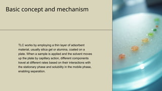 TLC Overview (1).pptx thin layer chromatography | PPTX
