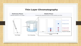 Paper Chromatography & Thin Layer Chromatography | PPTX