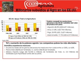 Agricultura
                           Millonarios subsidios al Agro en los EE.UU.

                EE.UU. Apoyo Total a la Agricultura
120                                                                    Podrán competir los porductores
100                                                                    peruanos si los EE.UU. subsidian del valor
 80                                                                    de producción para:
 60
                                                                       •Algodón:48.3%     (USD2,697 millones).
 40
         69.5
                41.8



                           99.8




                                          91.5
                                                 40.8



                                                         94.1
                                                                38.9
 20                                                                    •Arroz:   51.8% ( USD 744 millones).
                                  53




  0
                                                                       •Trigo:   33.9% (USD. 2,657 millones)
       1986-1988            2001           2002           2003
                                                                       •Maíz   Amarillo: 17.1% (USD.4,317millones)
                  Apoyo Total (Miles de Mill. De USD)
                  Apoyo al Productor (Miles de Mill. De USD)
 Fuente: OCDE

        TLC y aumento de la pobreza agraria: Los campesinos pobres los más afectados
      Dramática experiencia mexicana:
       los precios reales de los granos del productor mexicano han caído entre un 35% y un 60%.
       Precio Maíz US$ 80 por tonelada, vs. costos US$120 por tonelada.
       México importa luego del TLCAN 6 millones de toneladas de maíz, vs. 2.5 millones de
        toneladas que importaban antes del acuerdo.
 