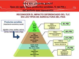 Perú -TLC, ¿Quiénes ganan?
          Tipos de agricultura, productos sensibles, % del PIB y
                              del territorio que representan




  Productos sensibles
(importancia económica y social)


algodón, arroz, aceites, azúcar,
  carnes, lácteos, maíz y trigo.
 