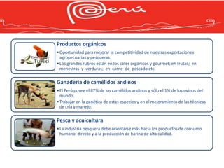 Productos orgánicos
• Oportunidad para mejorar la competitividad de nuestras exportaciones
  agropecuarias y pesqueras.
• Los grandes rubros están en los cafés orgánicos y gourmet; en frutas; en
  menestras y verduras; en carne de pescado etc.

Ganadería de camélidos andinos
• El Perú posee el 87% de los camélidos andinos y sólo el 1% de los ovinos del
  mundo.
• Trabajar en la genética de estas especies y en el mejoramiento de las técnicas
  de cría y manejo.

Pesca y acuicultura
• La industria pesquera debe orientarse más hacia los productos de consumo
  humano directo y a la producción de harina de alta calidad.
 