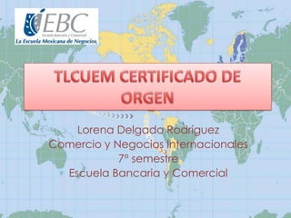 Lorena Delgado Rodríguez
Comercio y Negocios Internacionales
7° semestre
Escuela Bancaria y Comercial
 
