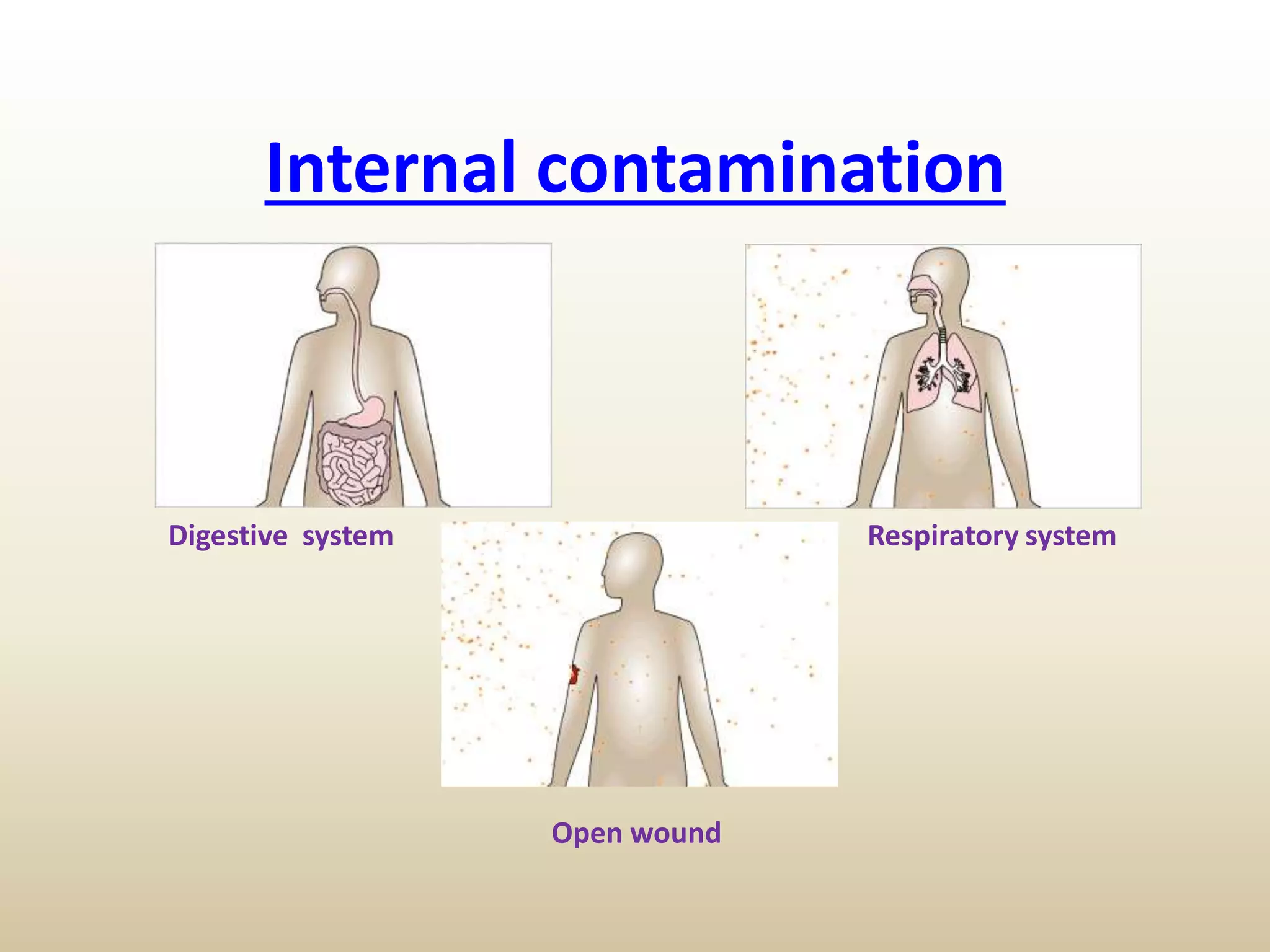 Internal contamination
Digestive system Respiratory system
Open wound
 