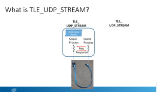 What is TLE_UDP_STREAM?
Server	
Process	
	
Client	
Process	
	
Req	
Response	
Host	name	
Port	#	
								TLE_	
UDP_STREAM	
								TLE_	
UDP_STREAM	
 