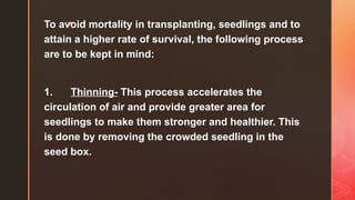 z
To avoid mortality in transplanting, seedlings and to
attain a higher rate of survival, the following process
are to be kept in mind:
1. Thinning- This process accelerates the
circulation of air and provide greater area for
seedlings to make them stronger and healthier. This
is done by removing the crowded seedling in the
seed box.
 