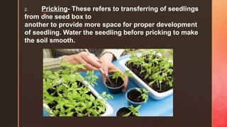 z
2. Pricking- These refers to transferring of seedlings
from one seed box to
another to provide more space for proper development
of seedling. Water the seedling before pricking to make
the soil smooth.
 